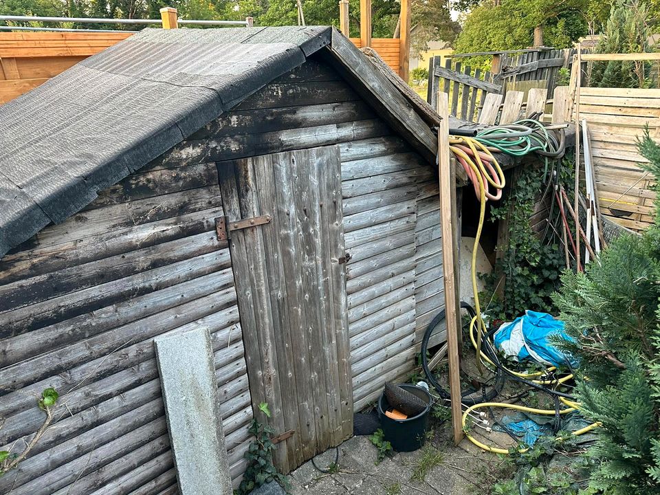 Kleingarten/Schrebergarten Kiebitzsee nähe Kaufland Celle in Wathlingen