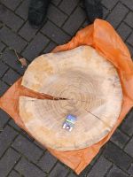 Große Baumscheibe getrocknet 70cm Buche Köln - Ehrenfeld Vorschau