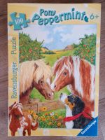 Puzzle Pony Pepermint Bayern - Altenmarkt Vorschau