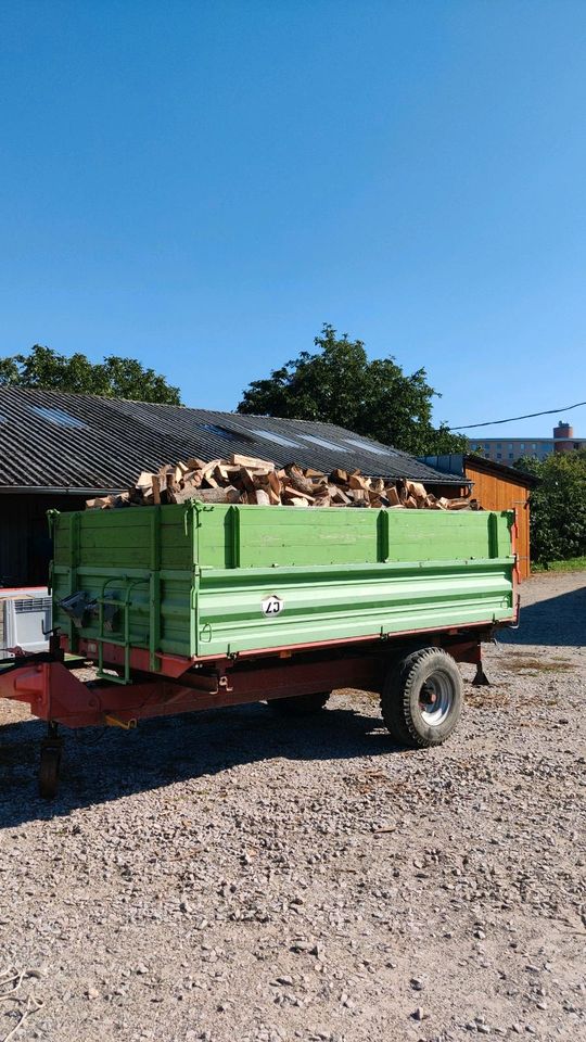 Brennholz vorgetrocknet (Hartholz) in Durbach