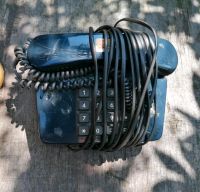 Festnetz Tasten Telefon Tel 01 LX mit TAE Stecker Niedersachsen - Vechta Vorschau