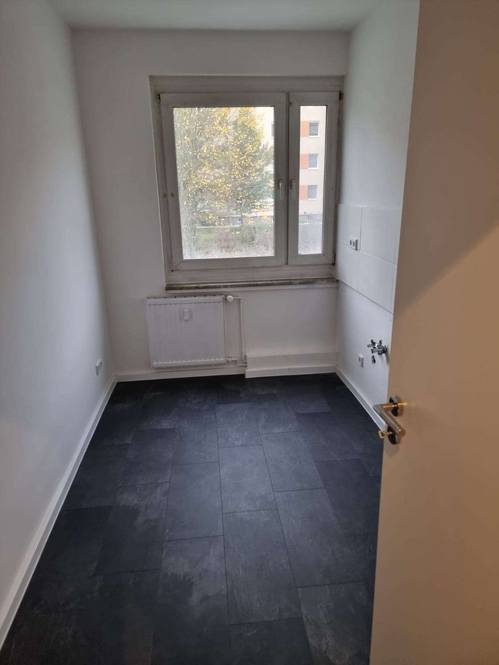 ++ Frisch renoviert - helle 3-Zimmer WE! ++ in Beilrode