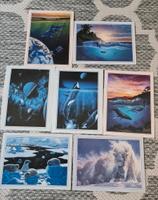 Bilder  Karten Orcas  Wale uvm aus USA Rheinland-Pfalz - Otterbach Vorschau