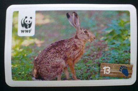 REWE WWF - Sticker aus 147 verschiedenen "WWF Tier Abenteuer" in Thalheim/Erzgebirge