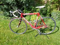 Rennrad Pinarello Paris Rh 57 Baden-Württemberg - Mötzingen Vorschau