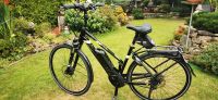 E-Bike PEGASUS SOLERO E8 SPORT CX 28 ZOLL, TRAPEZRAHMEN Köln - Porz Vorschau