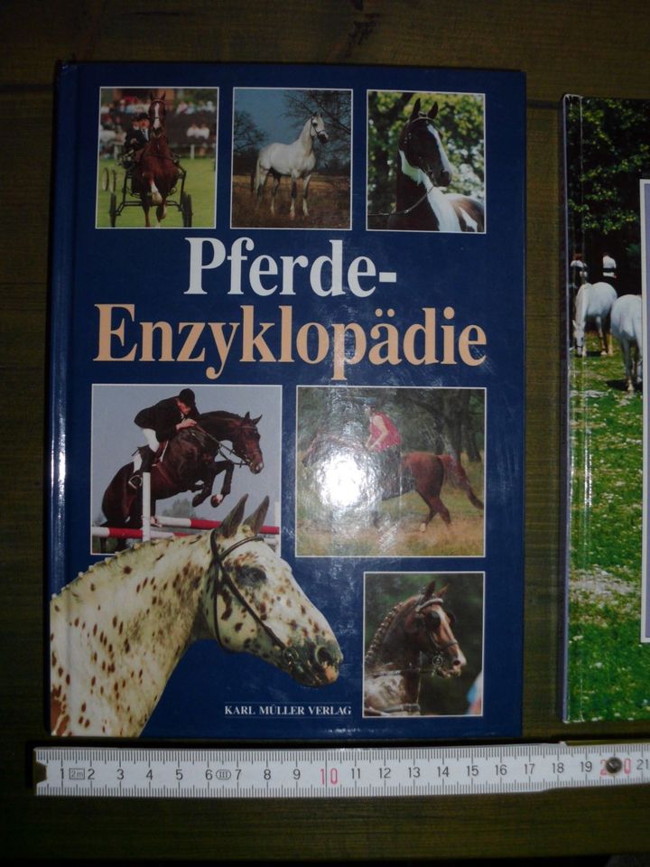 2 x tolles Buch Pferde Enzyklopädie + Pferde und Ponys in Leipzig