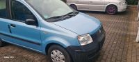 Fiat Panda / Kleinwagen Nordrhein-Westfalen - Bottrop Vorschau