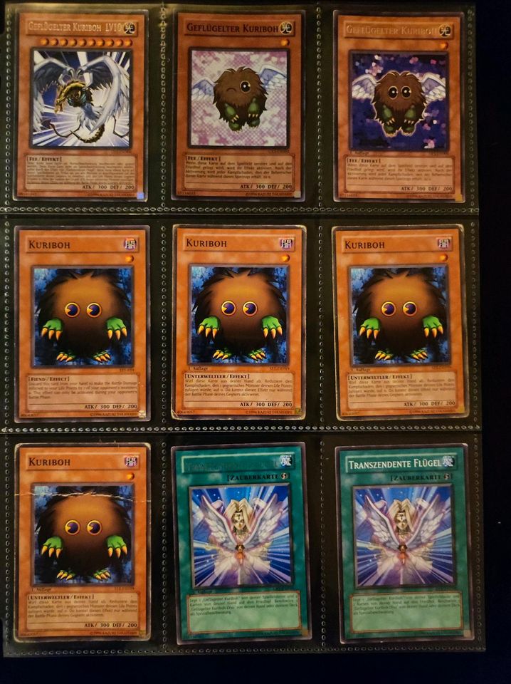 YuGiOh TCG Karten-Set "Kuriboh" in Grafenwöhr