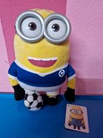 Minions Fußballer Hessen - Niddatal Vorschau