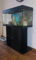 Juwel Rio 180 Aquarium mit Unterschrank Komplett Starter Set Nordrhein-Westfalen - Krefeld Vorschau