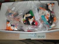 Biete Lego Creator Ersatzteile Ersatzsteine Nordrhein-Westfalen - Altenbeken Vorschau