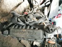 Motor Mercedes A-Klasse 668942 W168 170CDI Diesel Nordrhein-Westfalen - Bad Sassendorf Vorschau