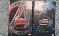 2 x Avengers Bücher im Set Nordrhein-Westfalen - Warstein Vorschau