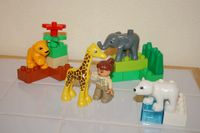 Lego Duplo Tierbabys im Zoo 4962, 4 Tierbabys+Pflegerin, Sehr gut Bayern - Mering Vorschau