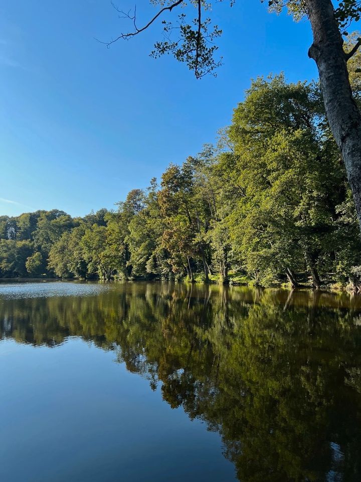 Traumhaftes Grundstück mit Altbestand am See in idyllischer Lage in Ebersberg