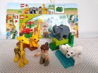 Lego Duplo Zootiere Giraffe Elefant Löwe Eisbär Hessen - Bensheim Vorschau