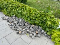 Pflastersteine granit anthrazit ca.10 x 10 cm gebraucht Kopfstein Bayern - Pfaffenhofen a.d. Ilm Vorschau