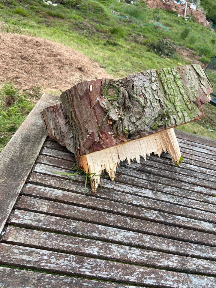 Holzscheibe zum aufstellen in Lebach