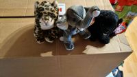 Ty Kuscheltiere Elefant Bär Leopard Hessen - Stockstadt Vorschau