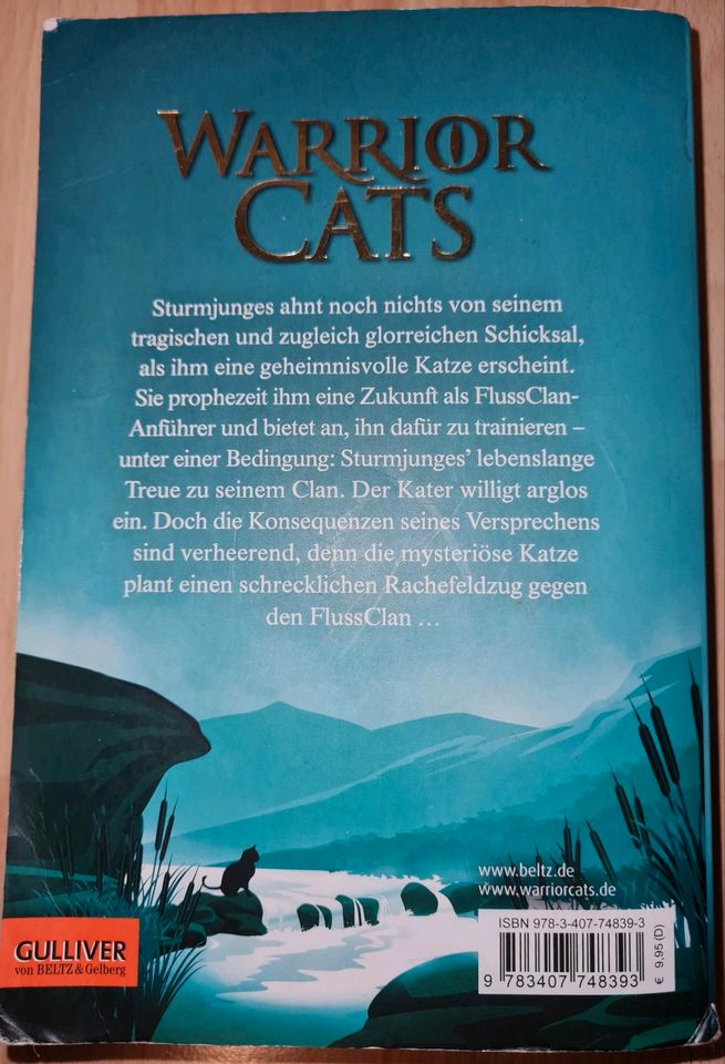 Warrior cats Bücher in Schramberg