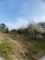 550qm großes Grundstück in Kiedrich mit Blick auf die Weinberge Hessen - Wiesbaden Vorschau