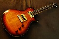 PRS SE Bernie Marsden Signature 2018  Amber Spirit of 59 Hessen - Wiesbaden Vorschau