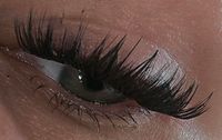 Lashes Wimpernsegmente Wimpernextentions Nordrhein-Westfalen - Nörvenich Vorschau