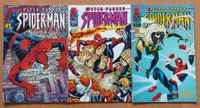 Spider-Man 1-3 Comics Marvel Peter Parker Pankow - Karow Vorschau