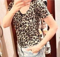Leo Bluse T-Shirt Bluse XS bis S beige braun Sommer Nordrhein-Westfalen - Bergisch Gladbach Vorschau
