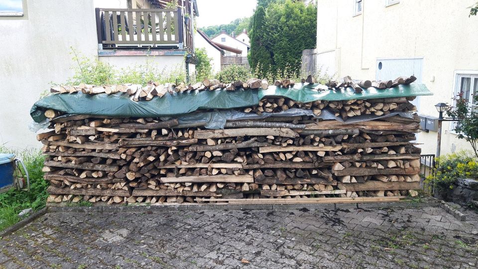 Brennholz Esche,1m lang,gespalten&trocken in Schwäbisch Hall