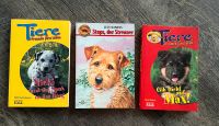 3 Kinderbücher / Hundebücher /Geschichten mit Hund ; alle 3= 2,50 Schleswig-Holstein - Selent Vorschau