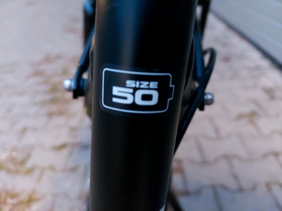 E Bike Damen Dynamics Citydrive Bosch Mittelmotor  28 Zoll in Hannover