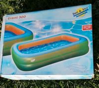 Neuwertiger aufblasbarer Pool 300x180cm, 23,50€ Sachsen - Zittau Vorschau