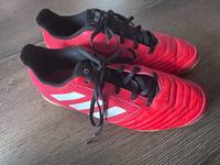 Hallenschuhe Adidas Predator 40,5 Hessen - Hilders Vorschau
