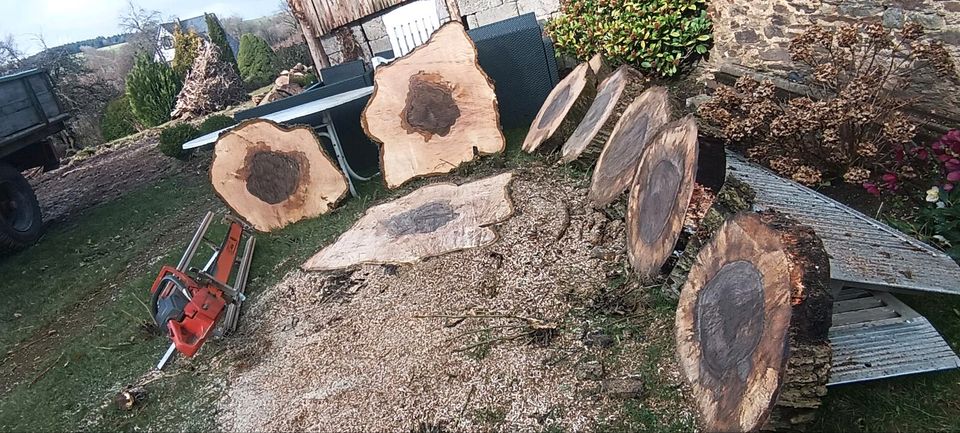 Nussbaum Scheiben, Holz scheiben in Masburg