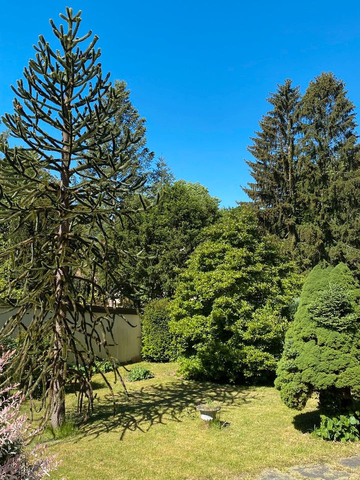 Charmantes Haus in ruhiger Lage in Schulzendorf bei Eichwalde