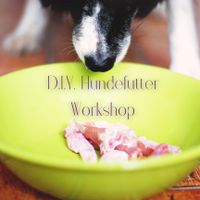 Workshop: Hundefutter selber kochen (ohne Futterplan) Schleswig-Holstein - Reinfeld Vorschau