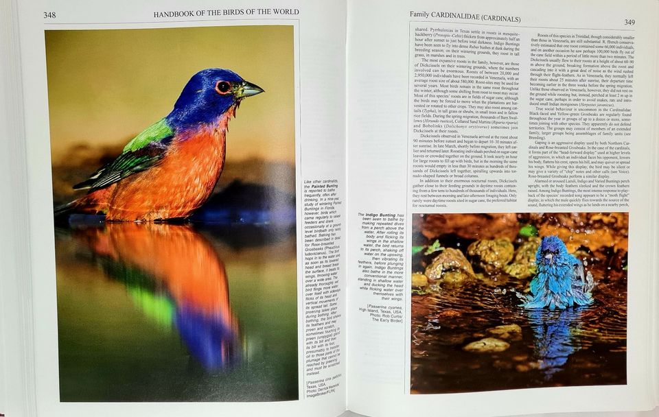 HANDBOOK OF THE BIRDS OF THE WORLD - Komplett, alle 16 Bände in Berlin