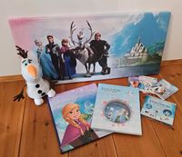 Eiskönigin Set - Ein Traumset  inkl. Leinwand und CDs! Sachsen - Pulsnitz Vorschau