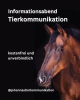 Tierkommunikation kostenfreier Informationsabend Berlin - Mitte Vorschau