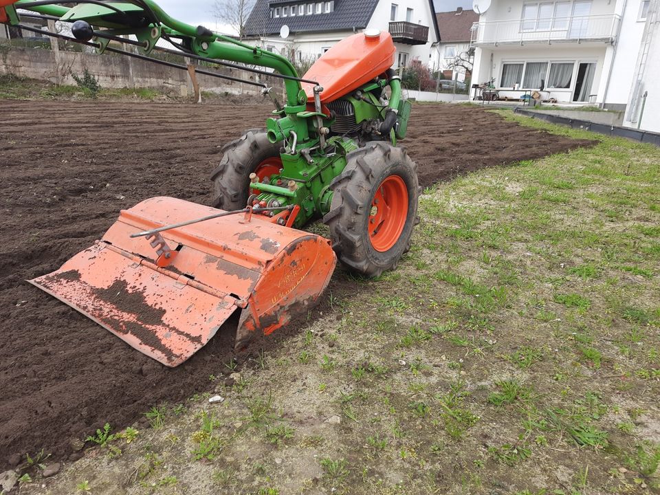 Garten Wiese Acker fräsen pflügen grubbern FENDT AGRIA in Bad Salzuflen