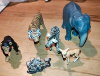 Schleich Wildtier Set Tiger Elefant Zebra Affe Bambi Düsseldorf - Mörsenbroich Vorschau