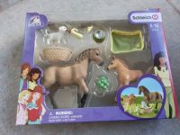 Schleich Horse Club Sarahs Tierbaby-Pflege 42432 Kr. München - Taufkirchen Vorschau