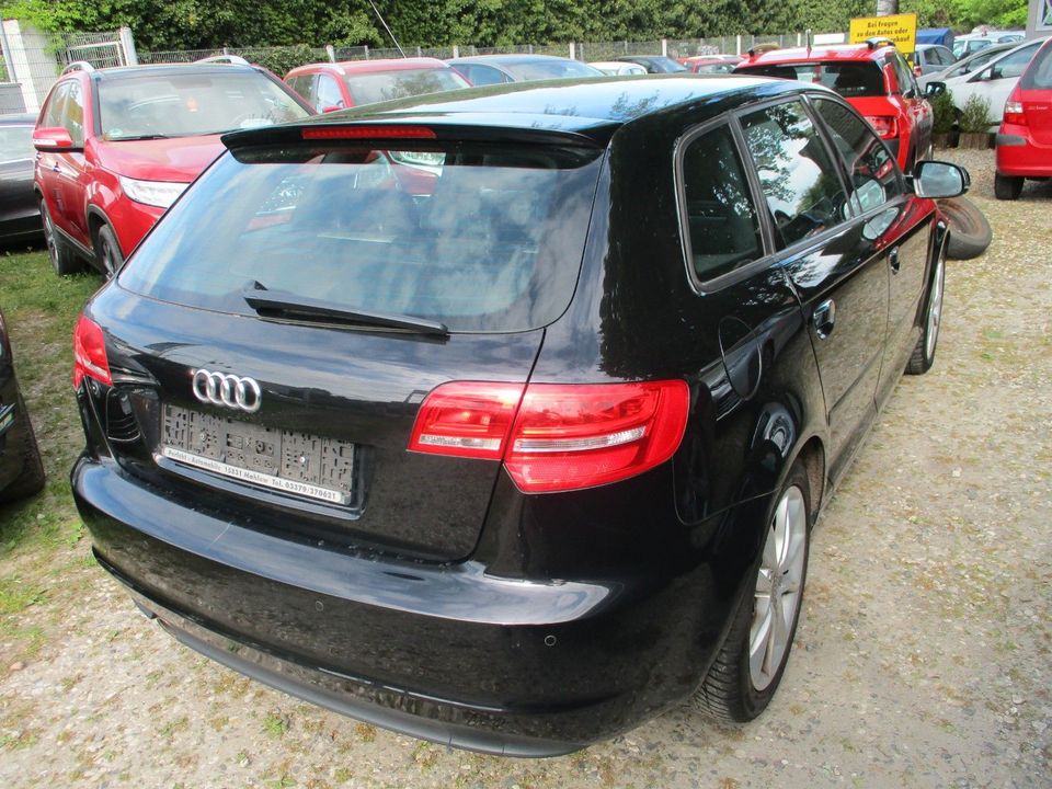 Audi A3 Sportback 1.6 TDI Ambition in Mahlow