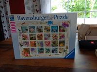 1000 Teile Ravensburger Puzzle  - Schmetterlinge/Vögel/Blumen Niedersachsen - Dötlingen Vorschau