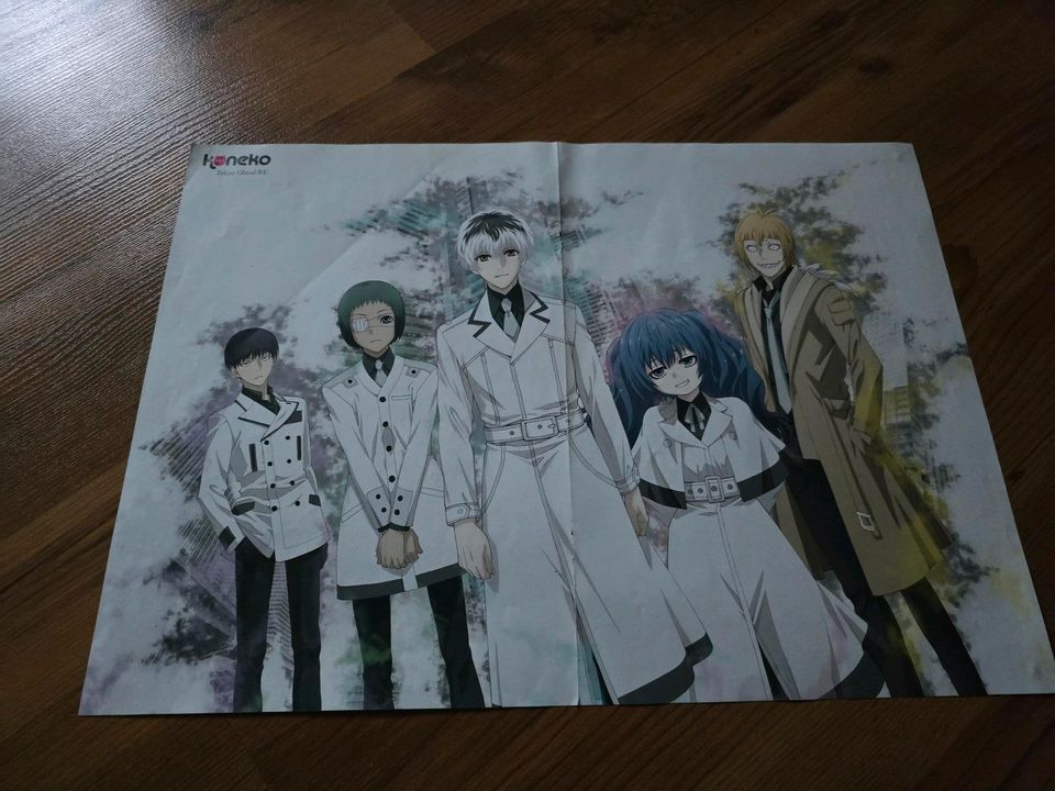 Tokyo Ghoul / My Hero Academia Poster in Soltau