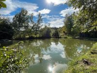 Angelteich in Goslar angeln auf Forelle Karpfen Wels und Aal Niedersachsen - Hildesheim Vorschau