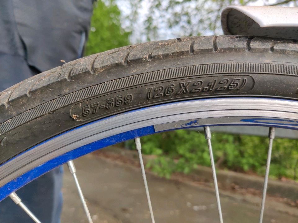 Fahrrad Damenfahrrad 26 Zoll weiß türkis blau in Michelau i. OFr.