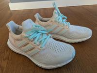 Adidas Ultraboost 1.0  Größe 40 Damen Nordrhein-Westfalen - Hattingen Vorschau